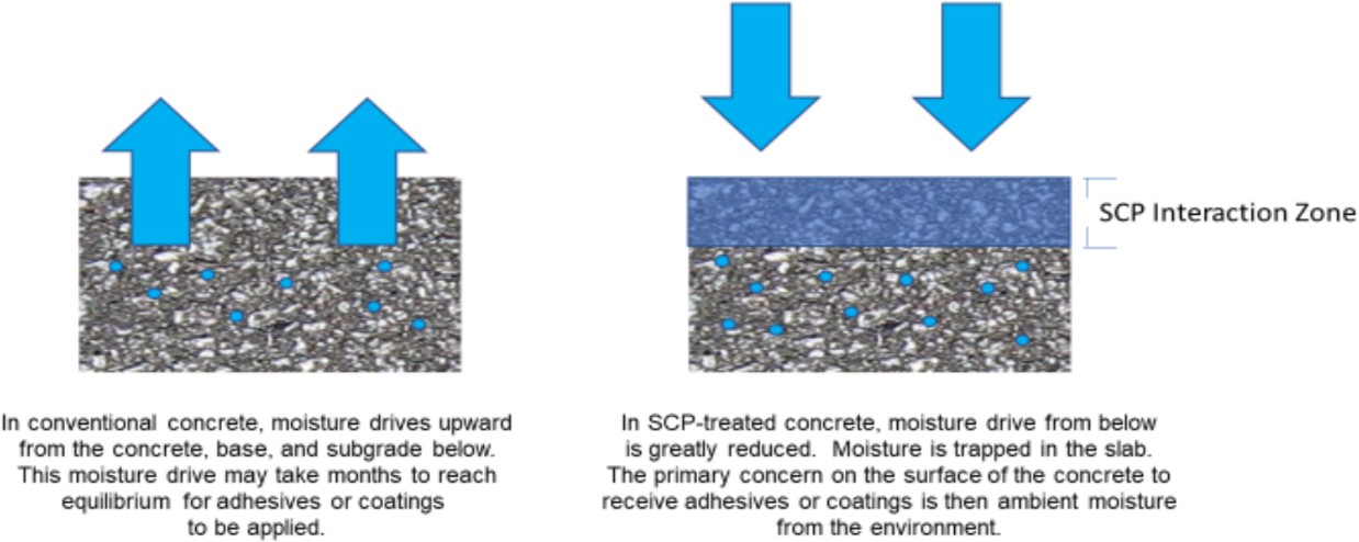 How SCP Products Work